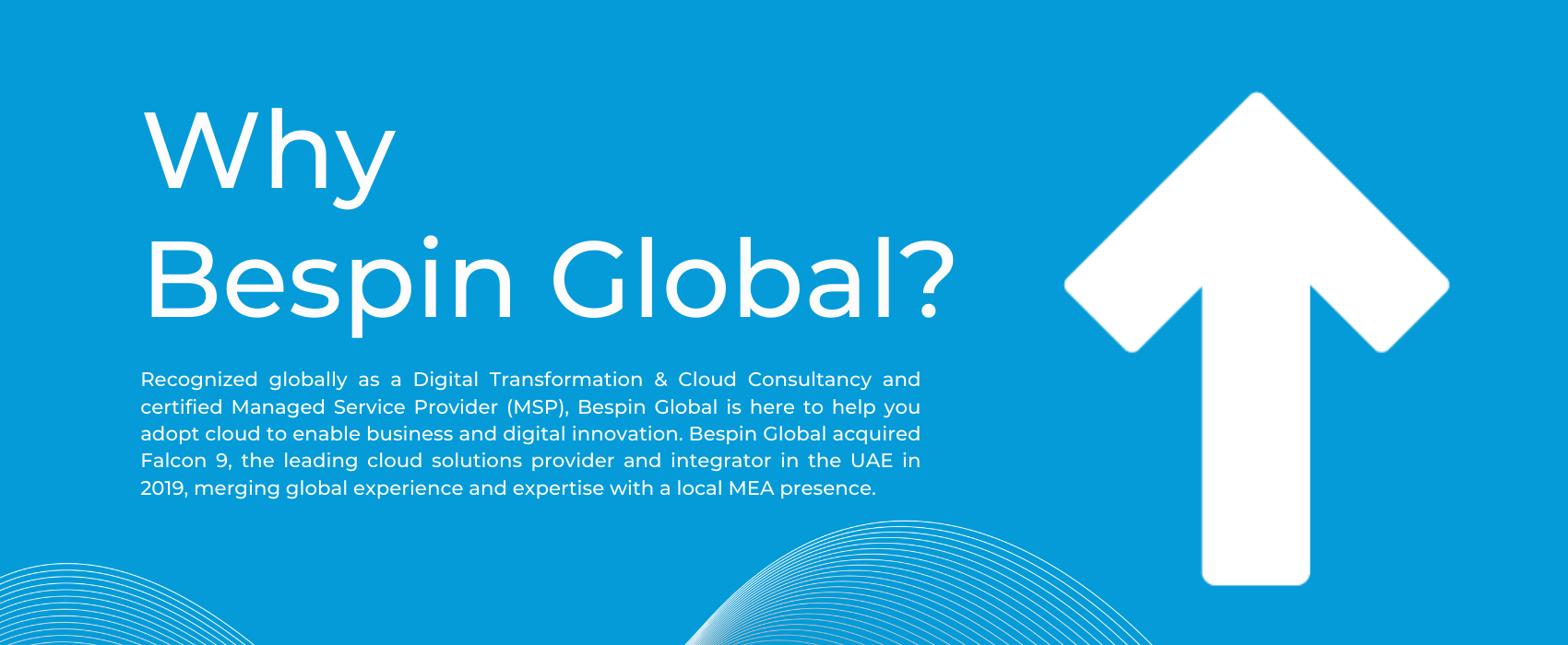 Why Bespin Global (1700 × 700 px)(2)